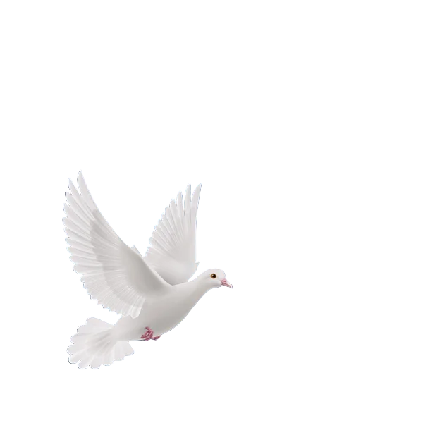 Holy Spirit Dove
